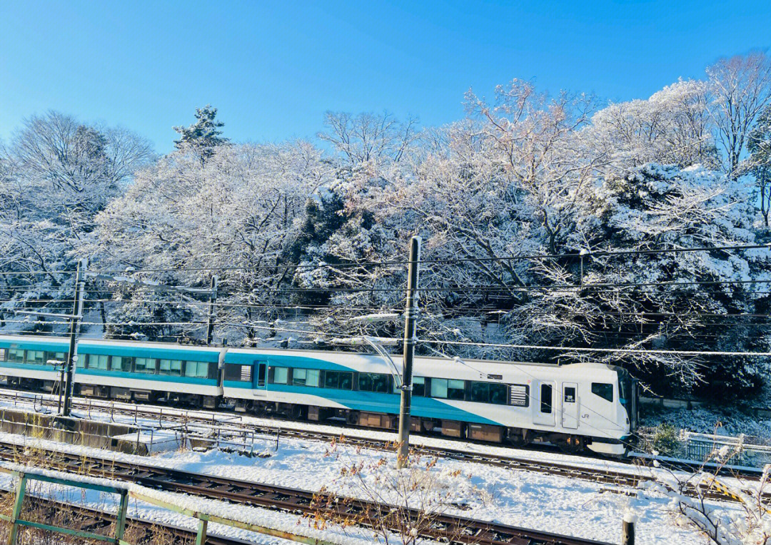 东京雪景76