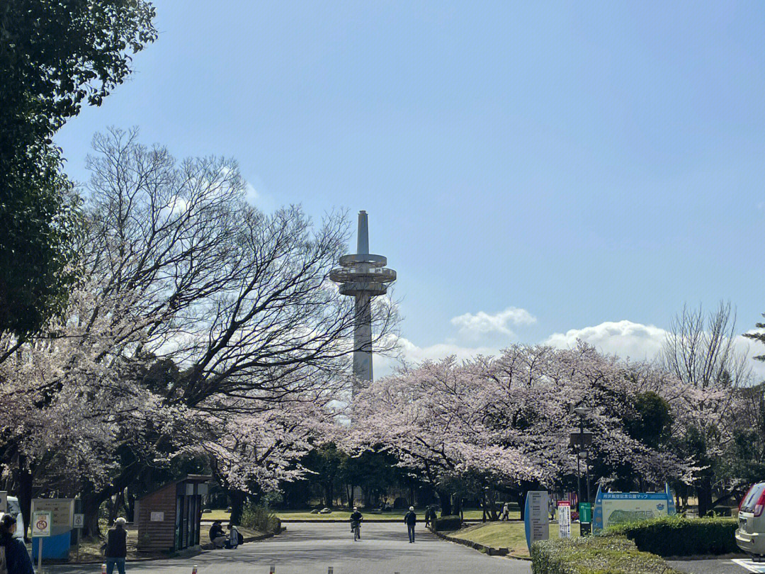 日本琦玉广场图片