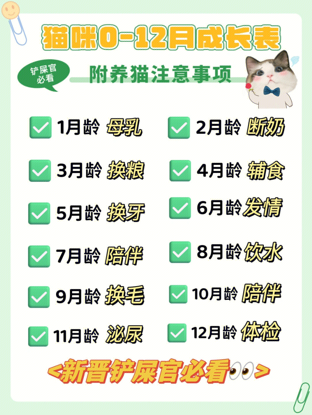 新手养猫必看012月猫咪成长表超全攻略