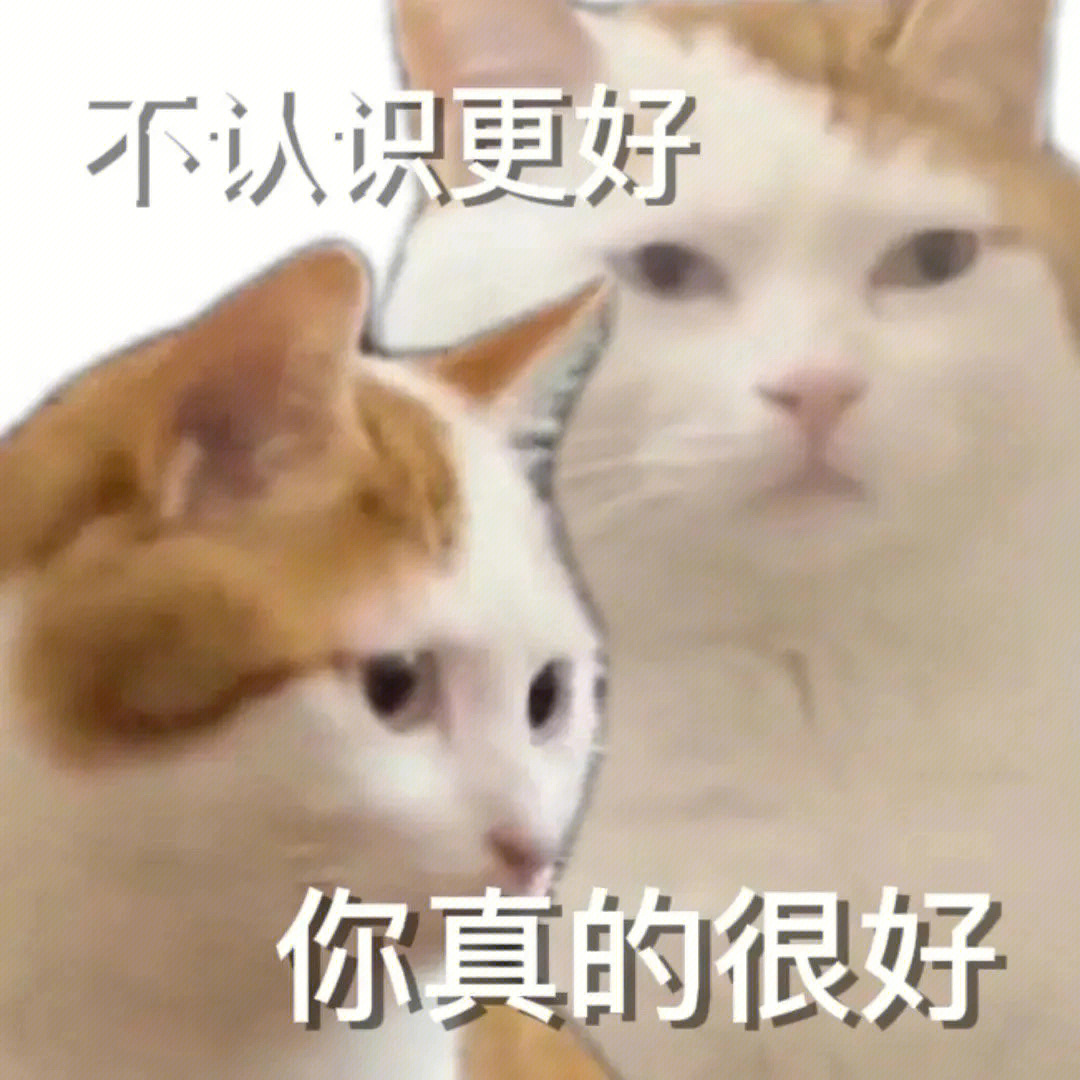 doge猫头图片