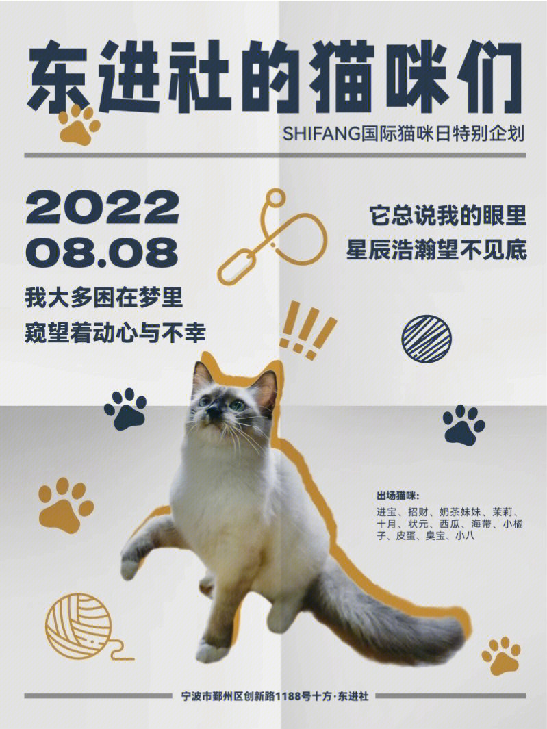 这个节日最初是由国际爱护动物基金会(ifaw)自2002年提出,呼吁人们