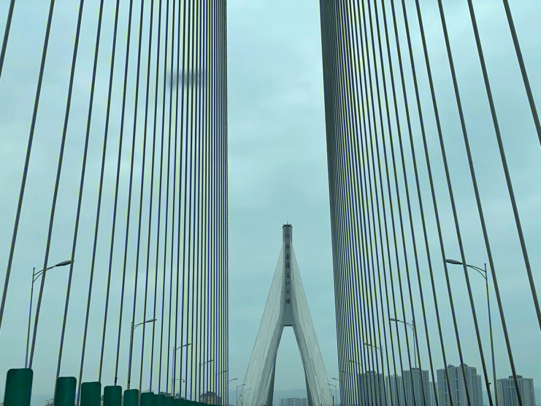 桥北万象汇长江大桥图片