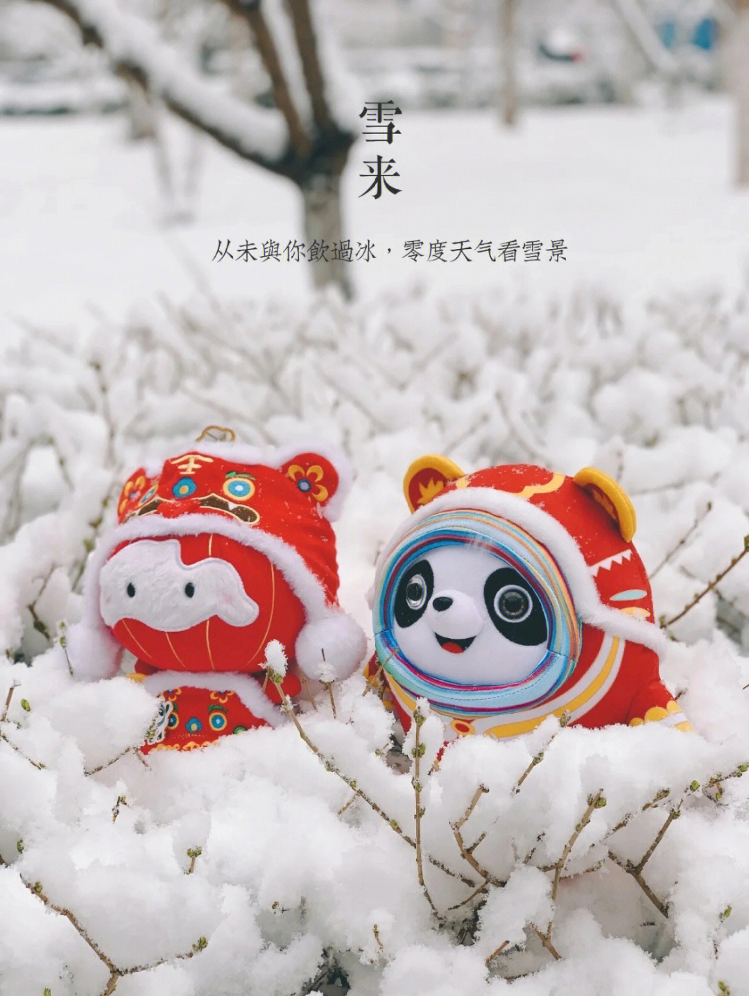 冰墩 墩雪龙龙图片图片