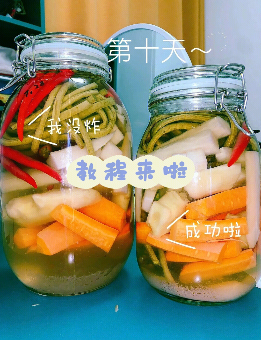 泡菜制作步骤生物图片