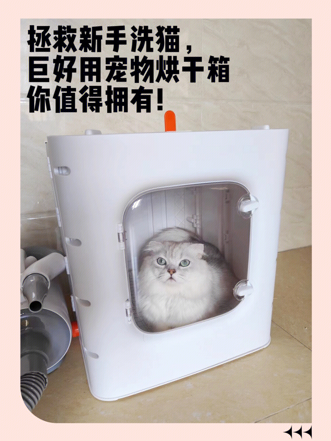 宠物烘干箱制作教程图片