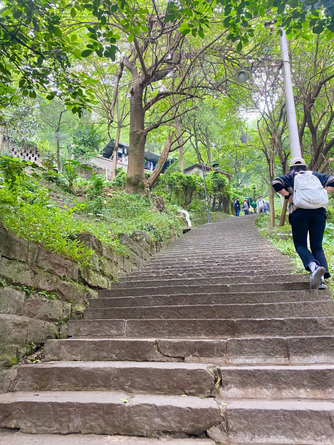 重庆登山好去处图片