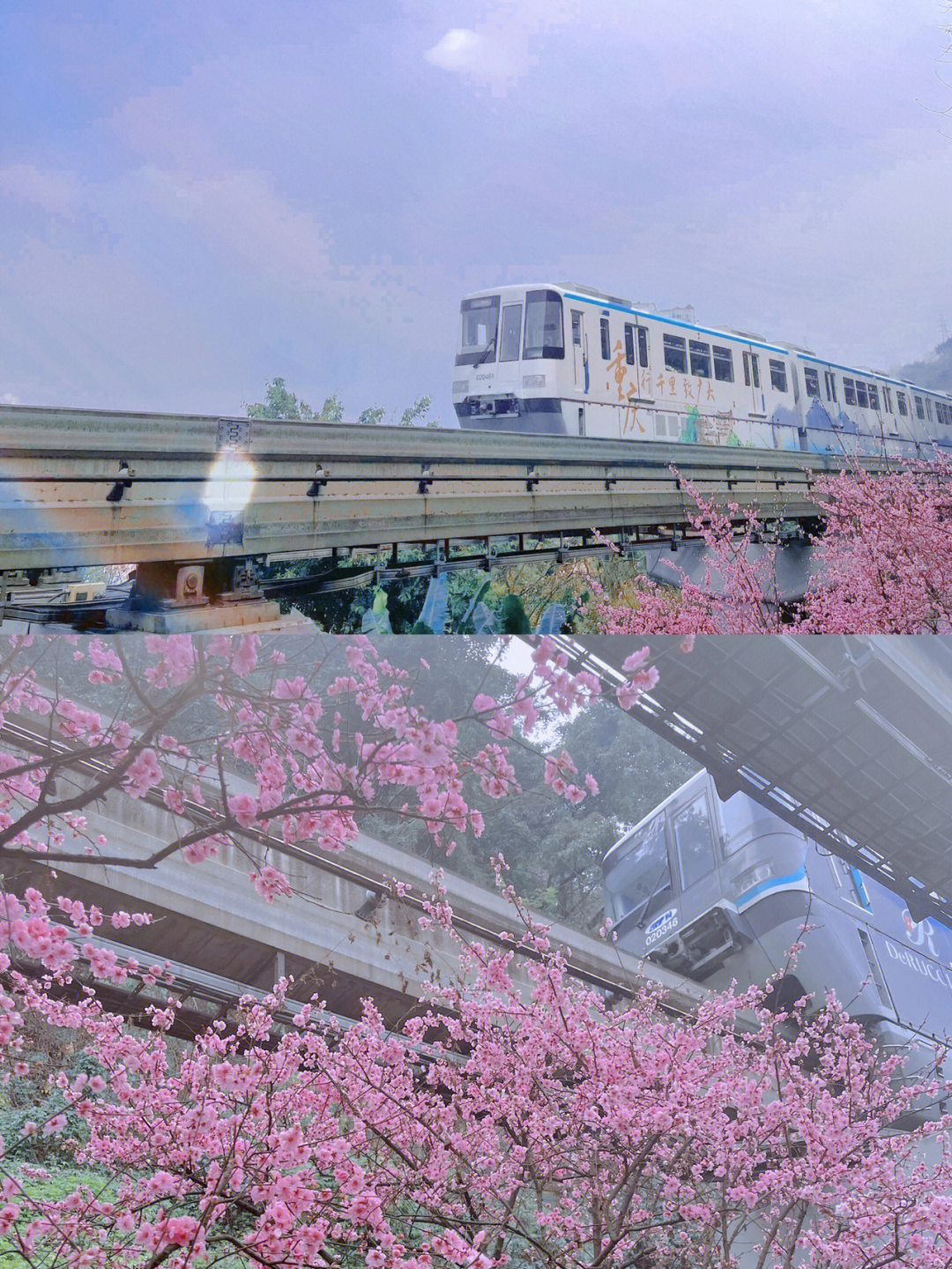 重庆赏花开往春天的列车重庆佛图关公园