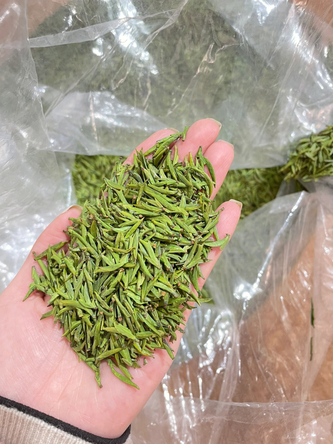 南宁青秀区新茶图片