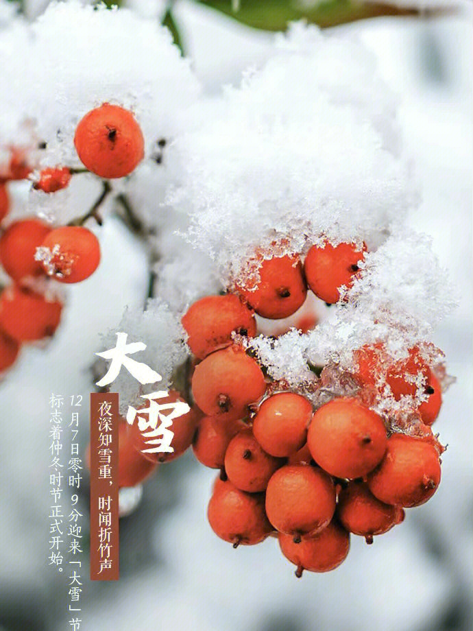 大雪图片气节图片