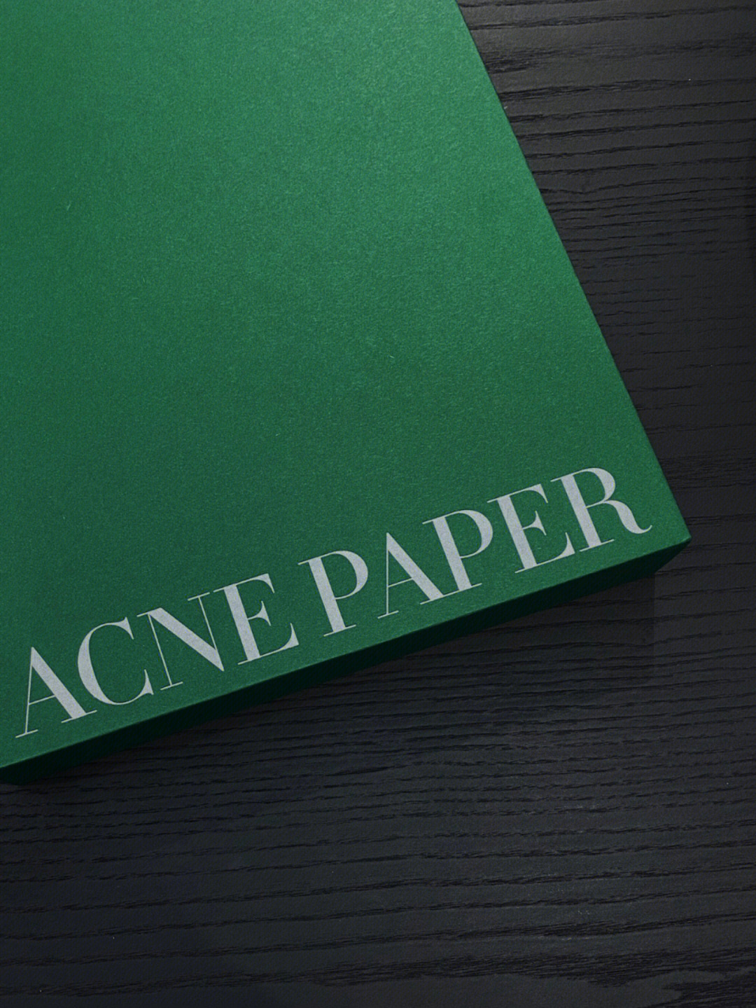 一本绿皮书acnepaper05