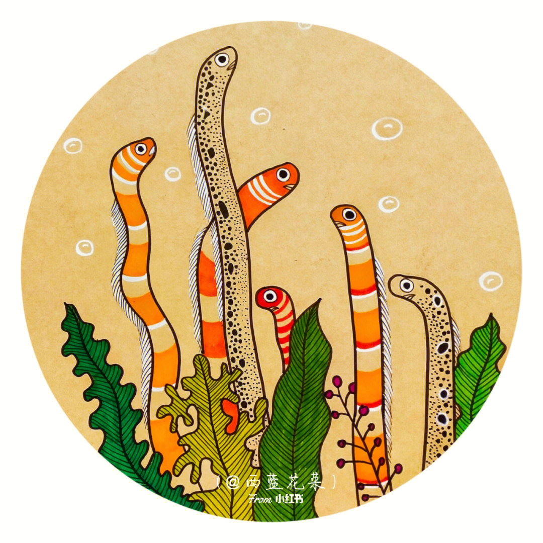 鳗鱼简笔画彩色图片