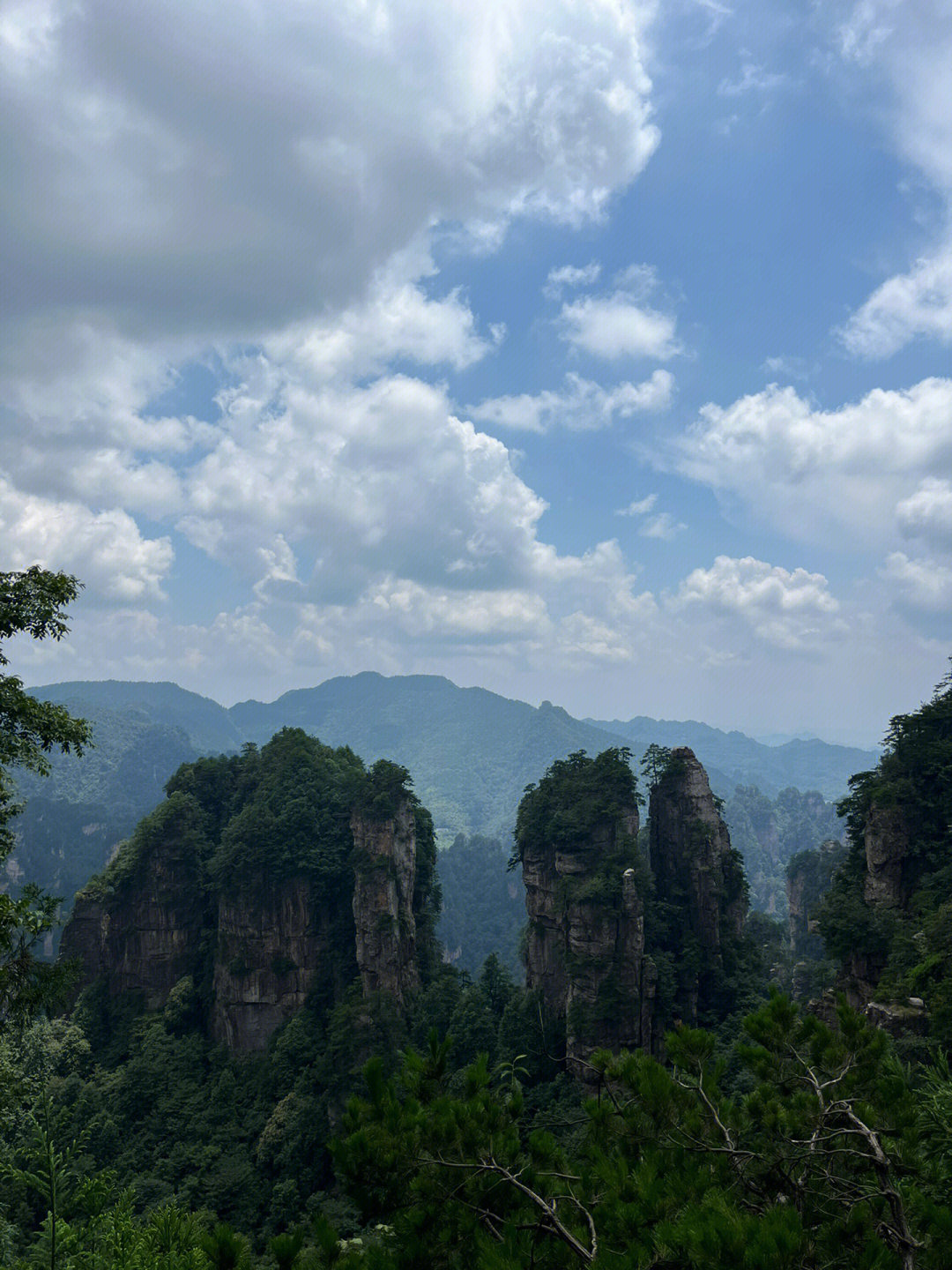 阿凡达在中国的取景地图片