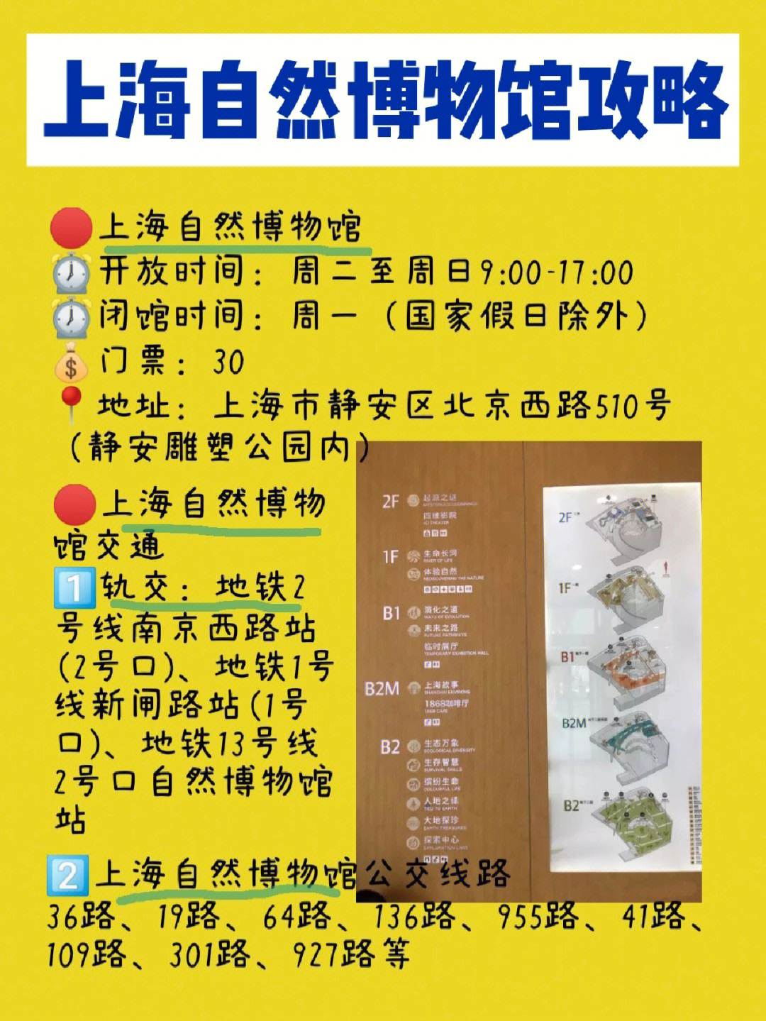 上海博物馆路线图图片