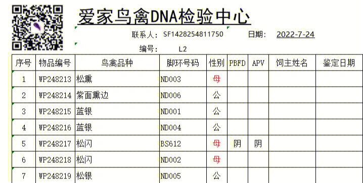 牡丹鹦鹉基因配对公式图片