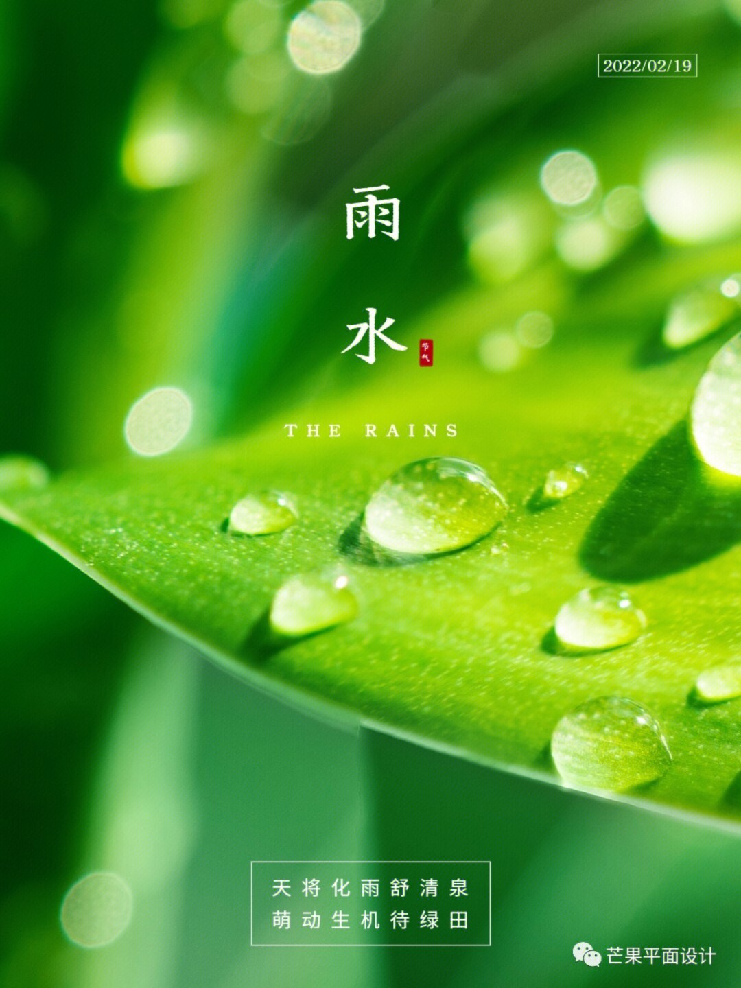 雨水