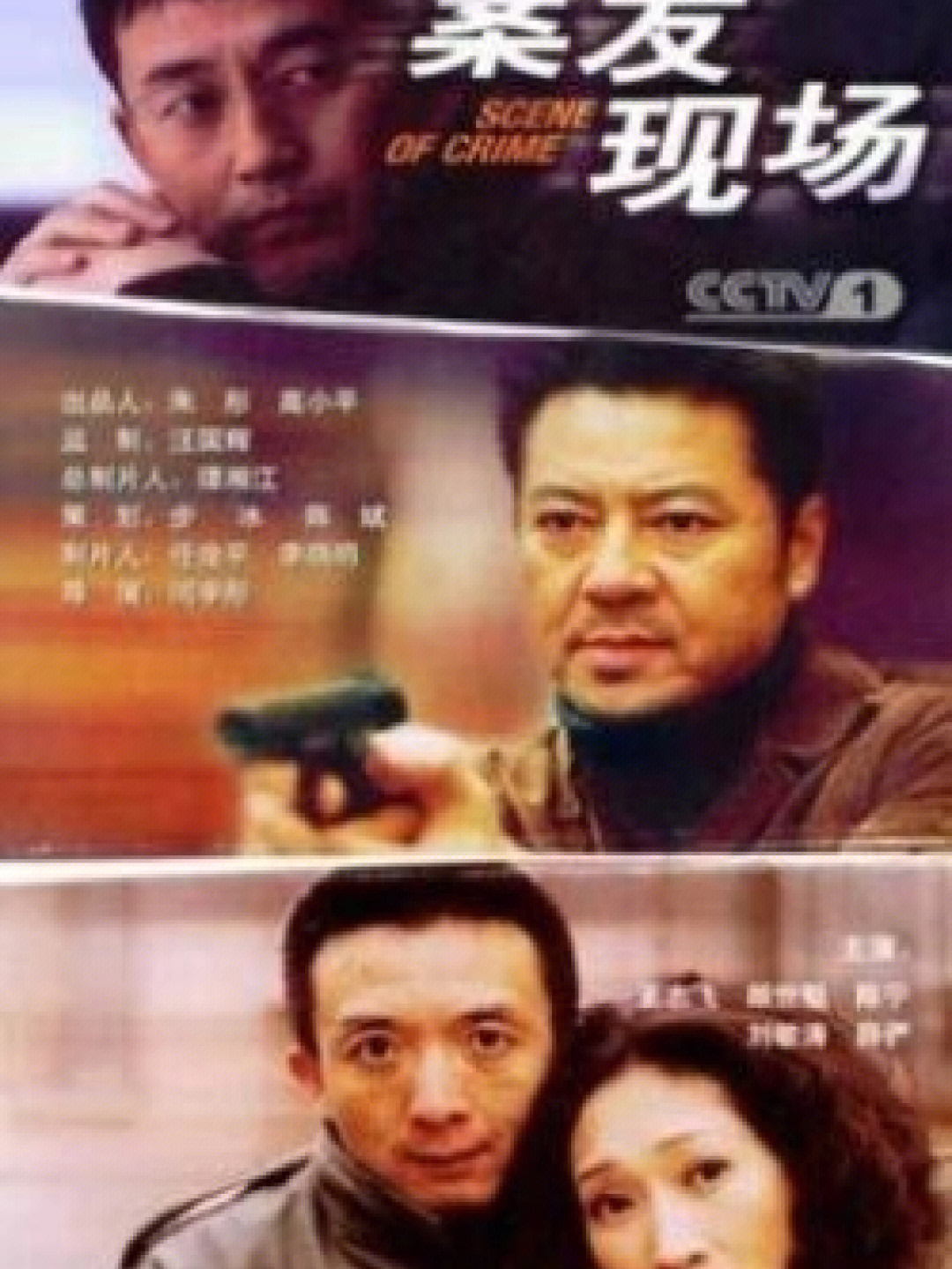 案发现场第一部(2004)王志飞,颜世魁,刘敏涛等主演的刑侦悬疑剧,2004