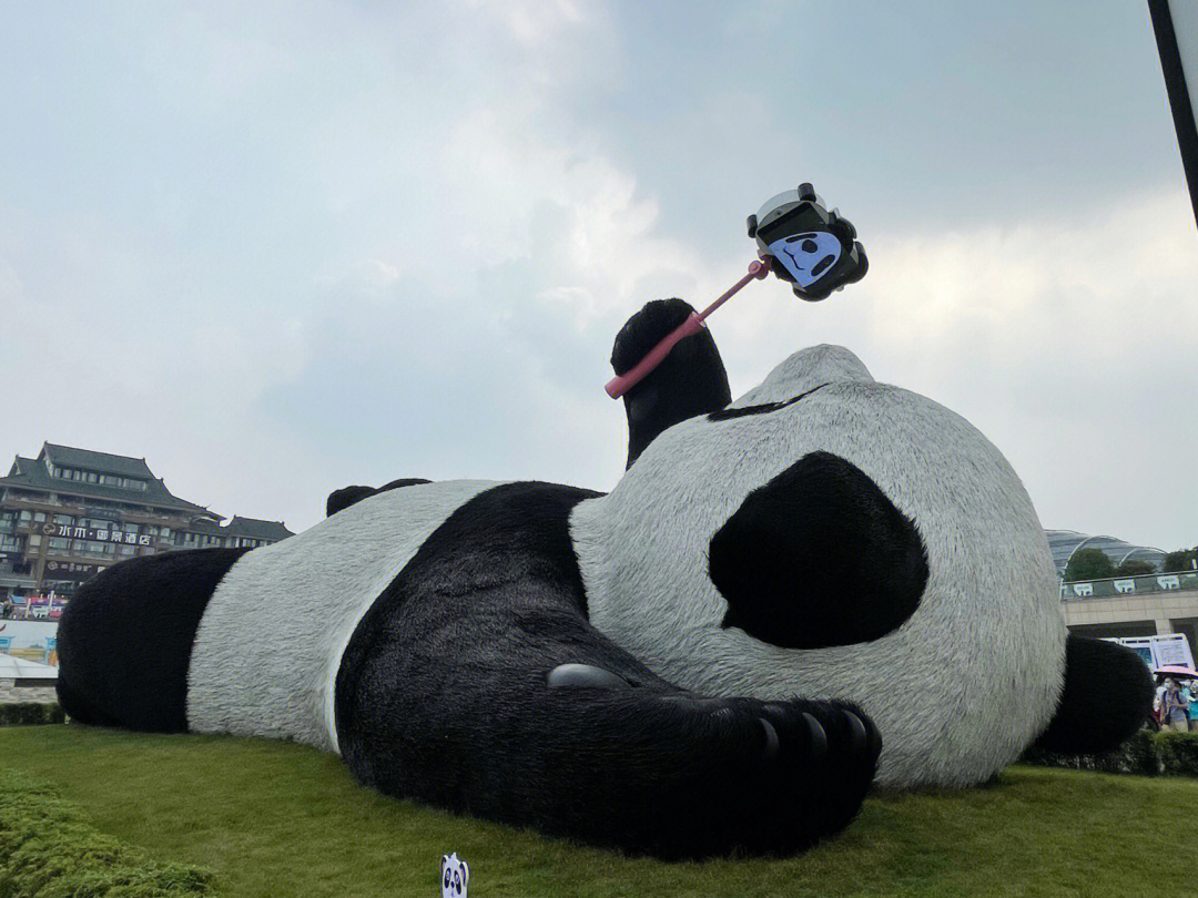 都江堰仰天窝广场的可爱熊猫