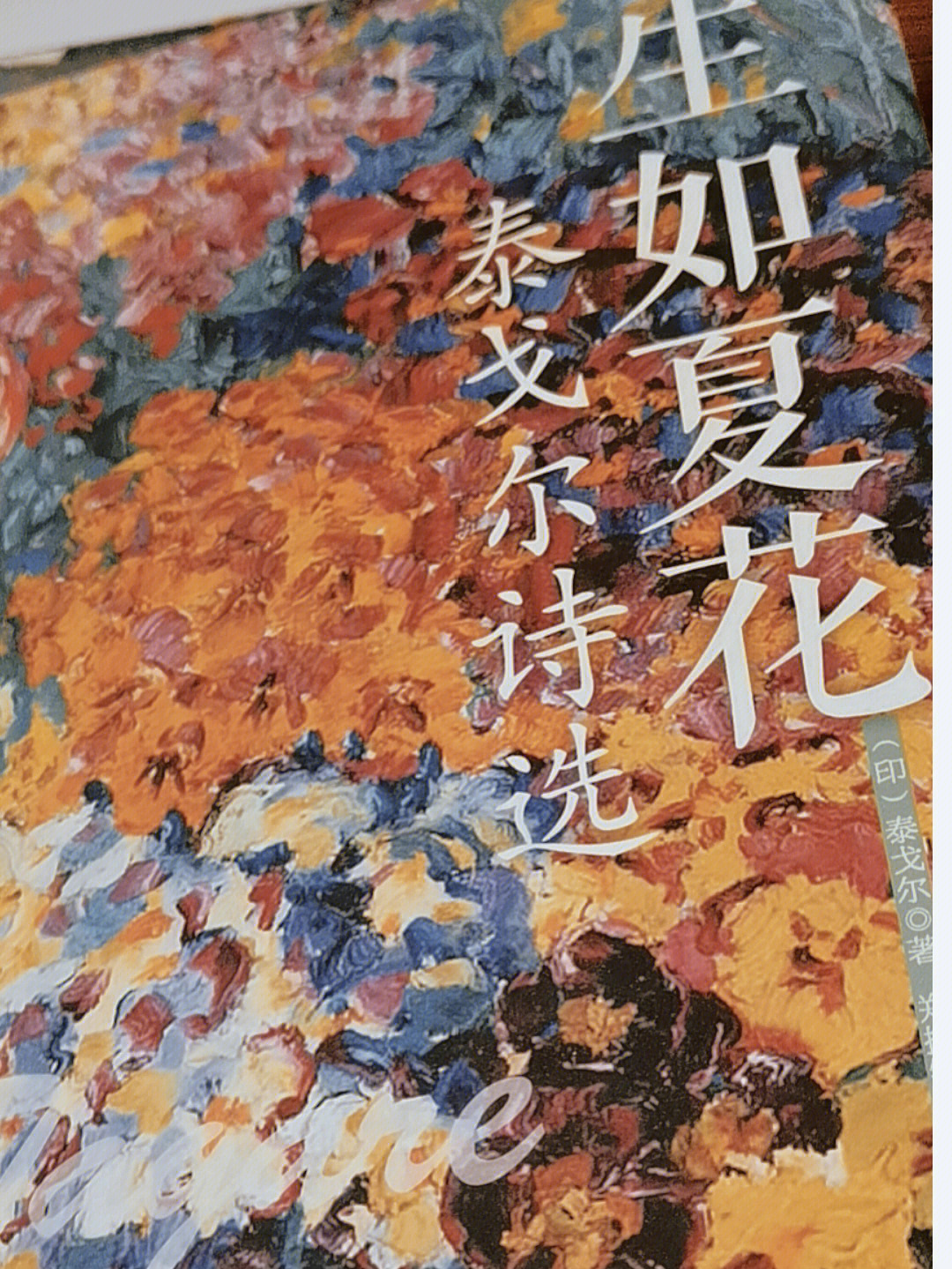 飞鸟集诗配画图片