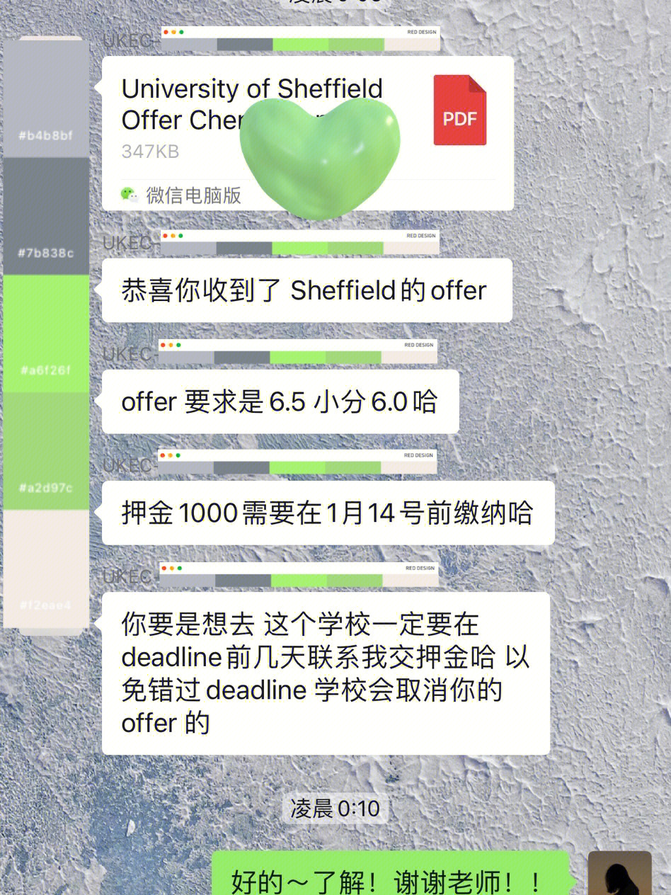 第二封offer来自谢大