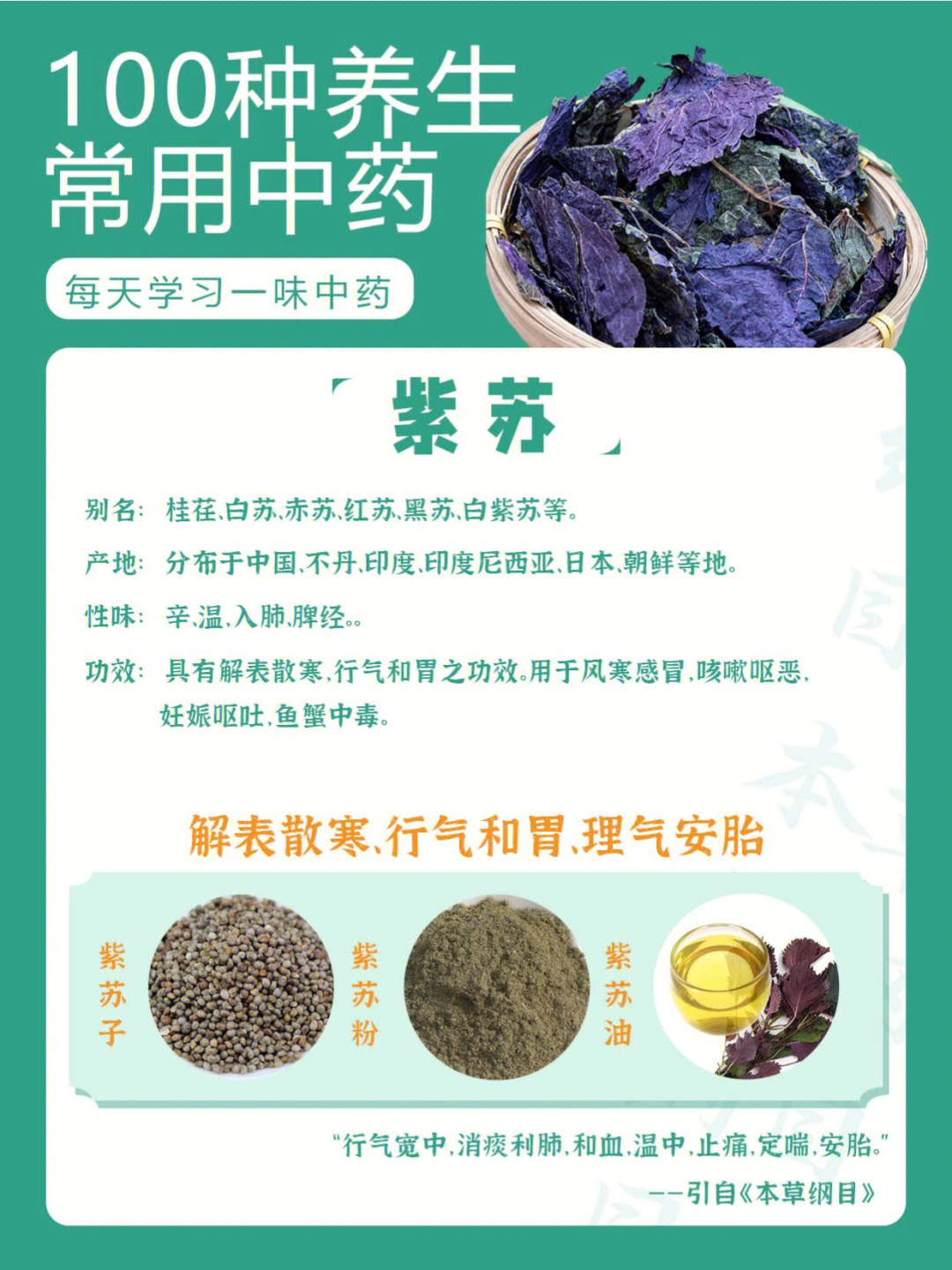 [烟花r][烟花r][烟花r]紫苏的药用功效如下:[气球r][气球r]1,治疗风寒