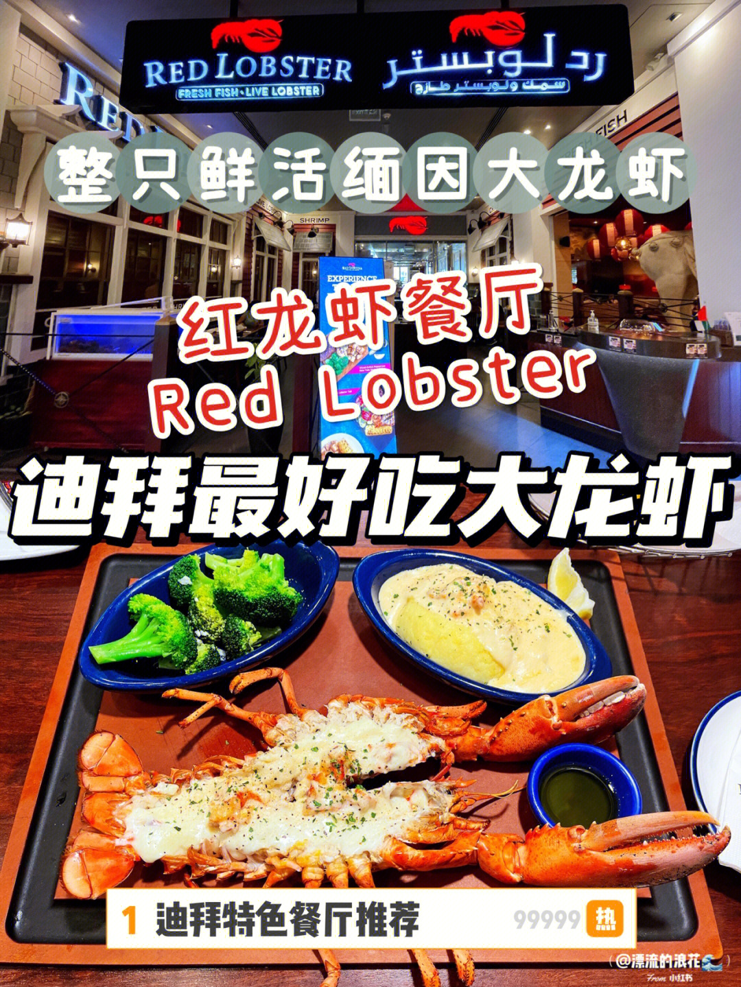 02迪拜吃大龙虾最佳餐厅redlobster