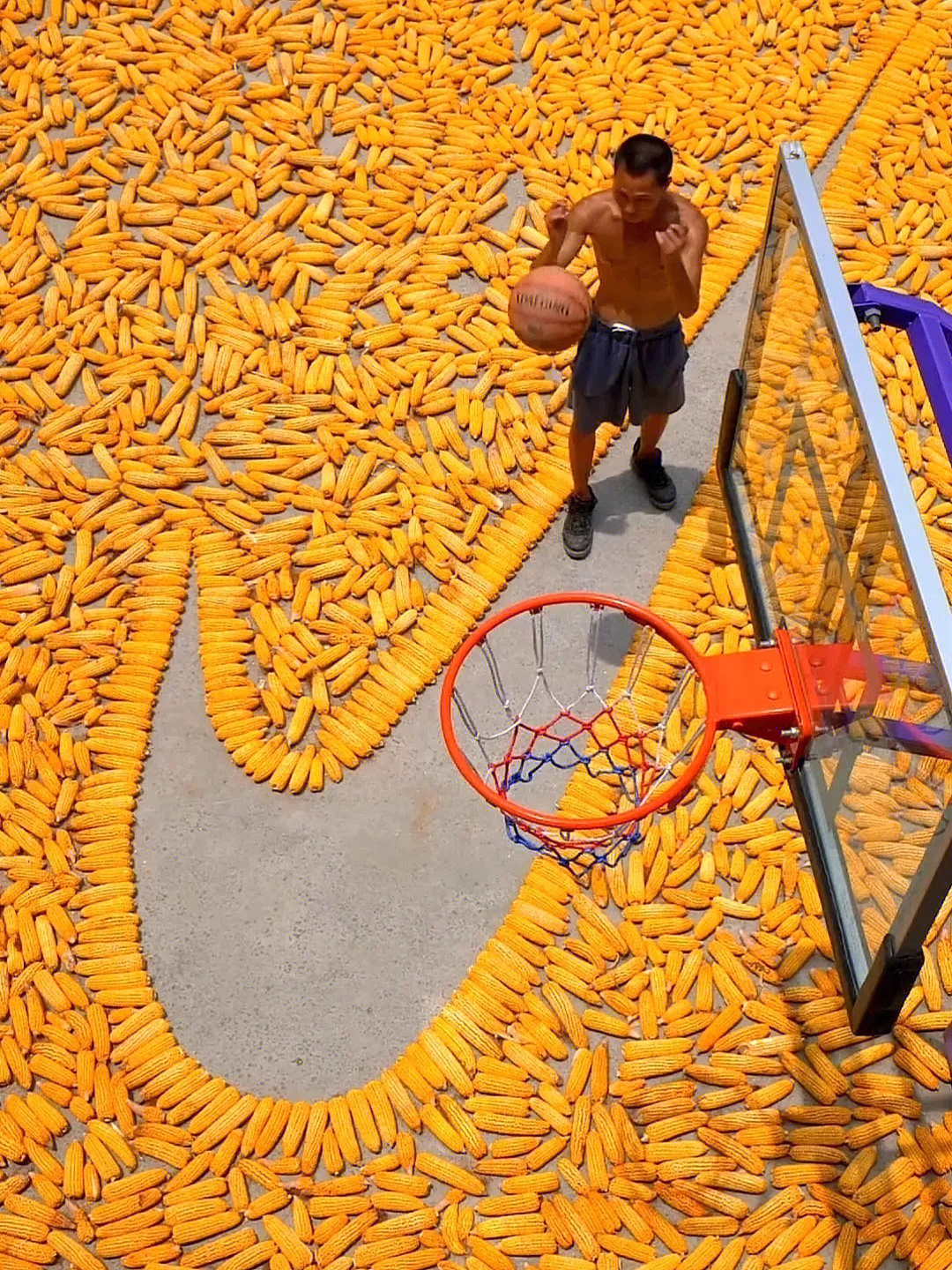 一男子用玉米把篮球场摆成了一个耐克形状