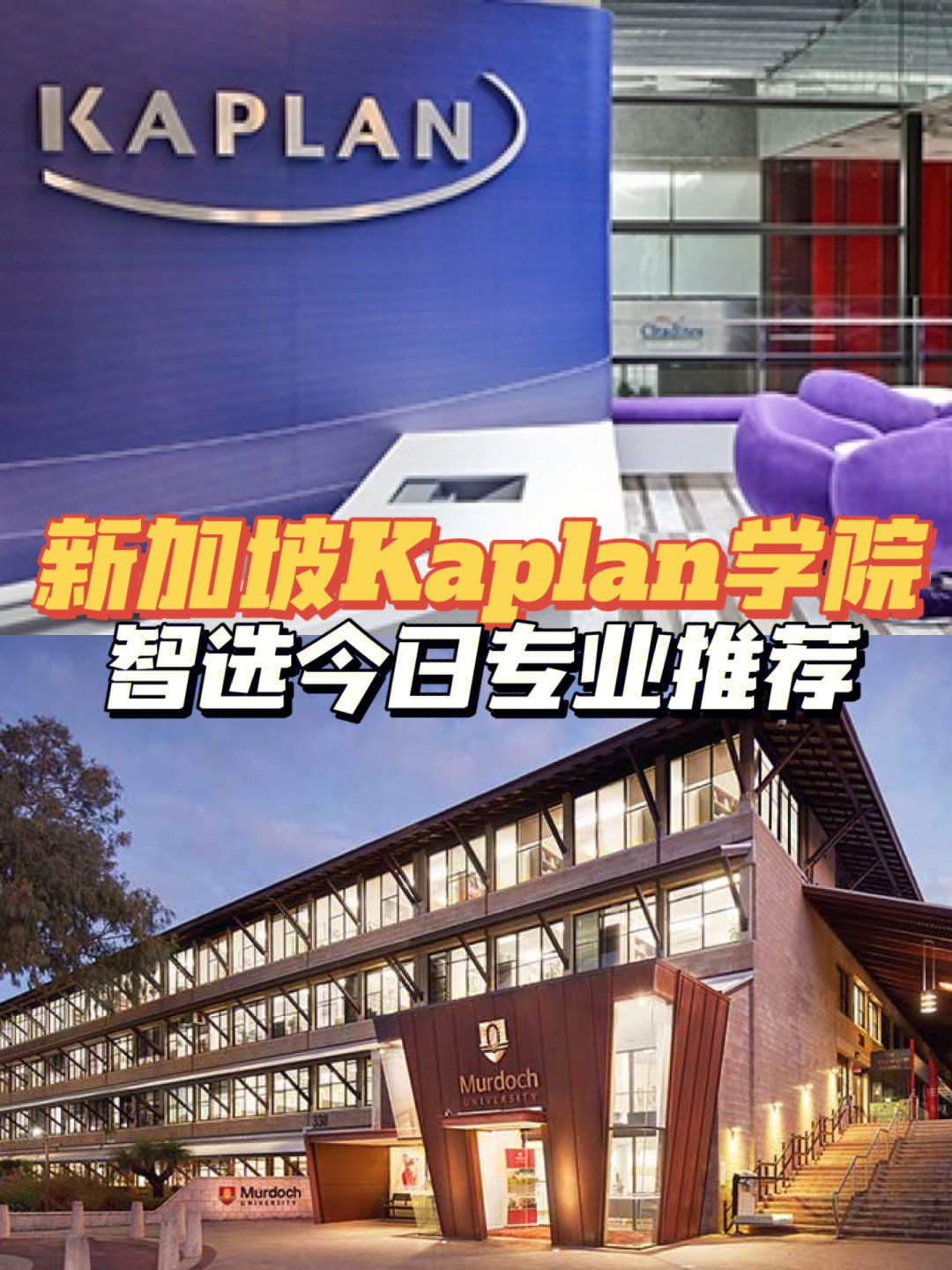 默多克大学新加坡分校图片