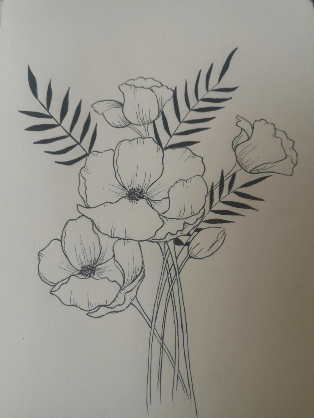 黑白花卉手绘线条画