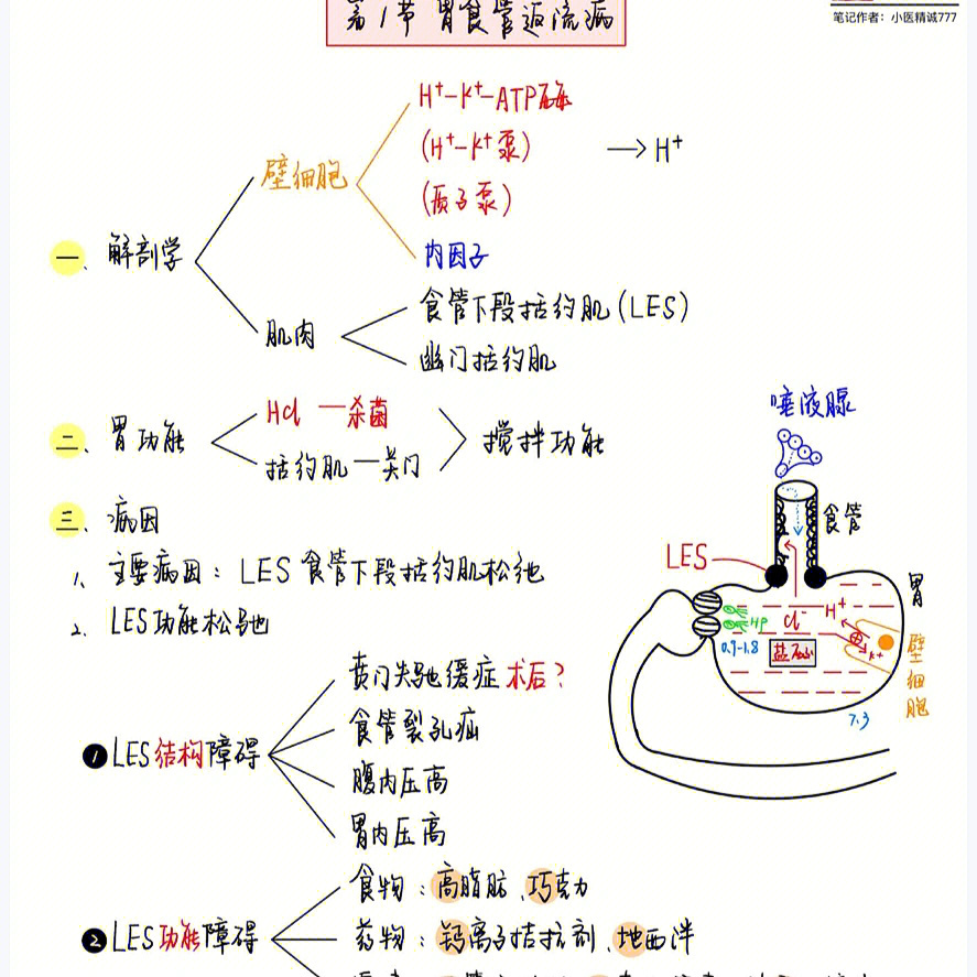 消化性溃疡手抄报图片