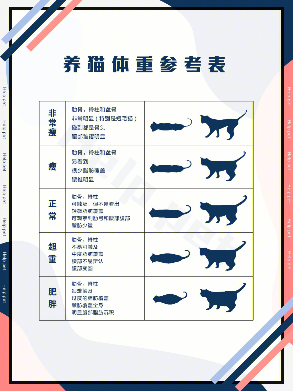 中华田园猫体重图片