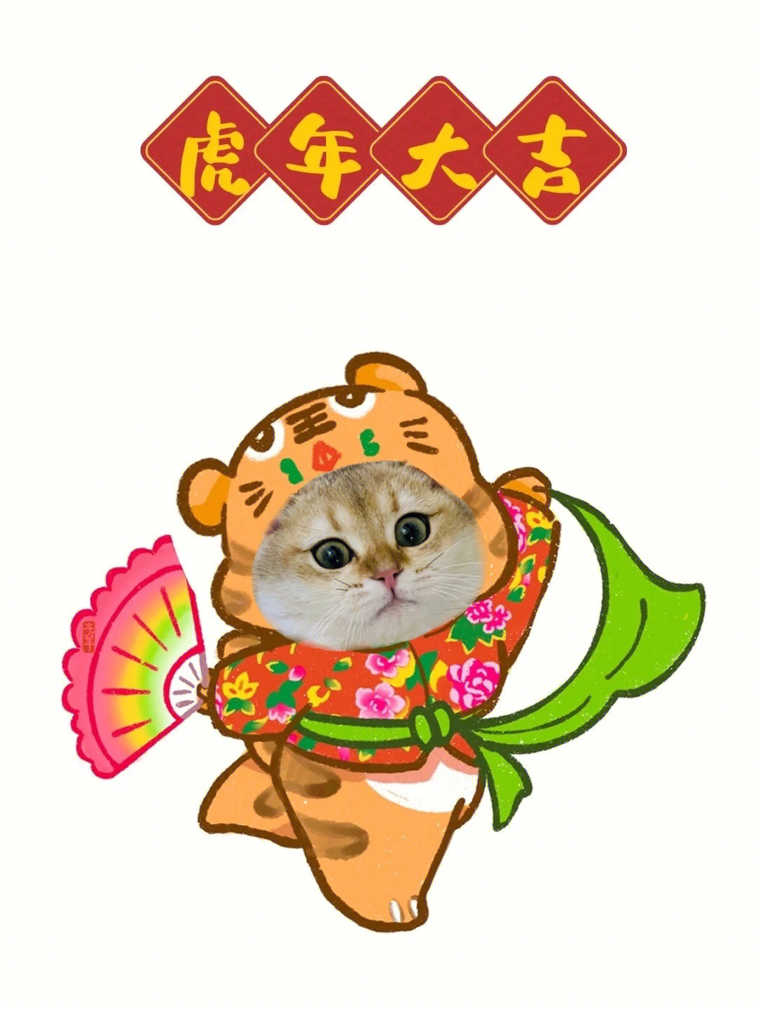 猫咪壁纸猫咪虎年来拜年