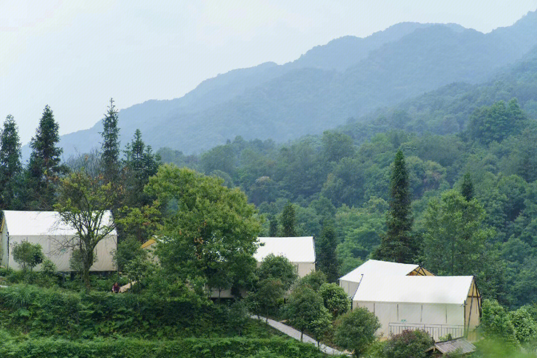 青城山云雾山庄图片