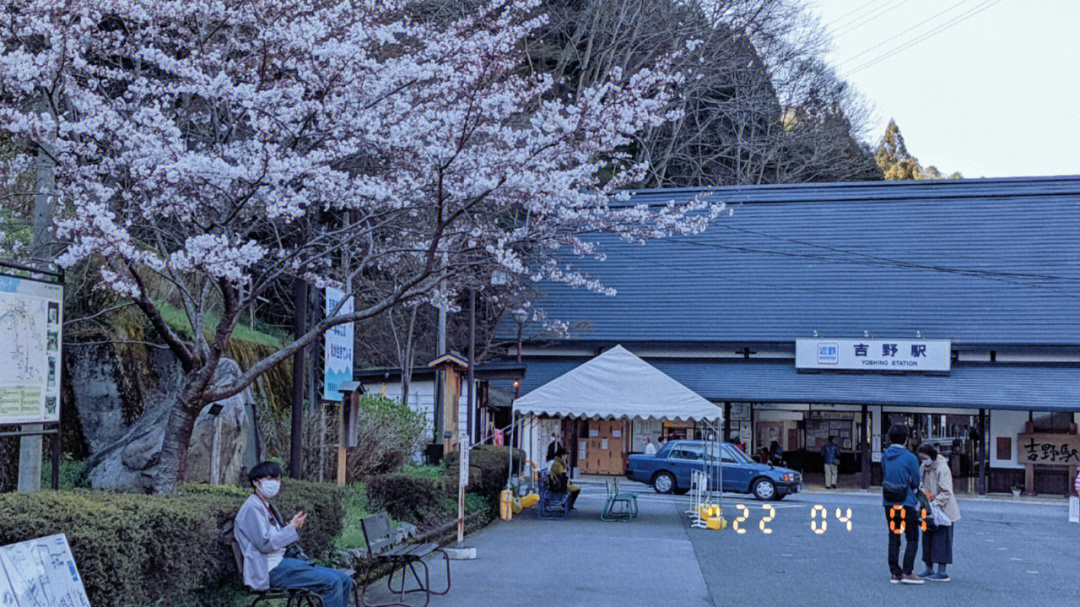 吉野山看樱花