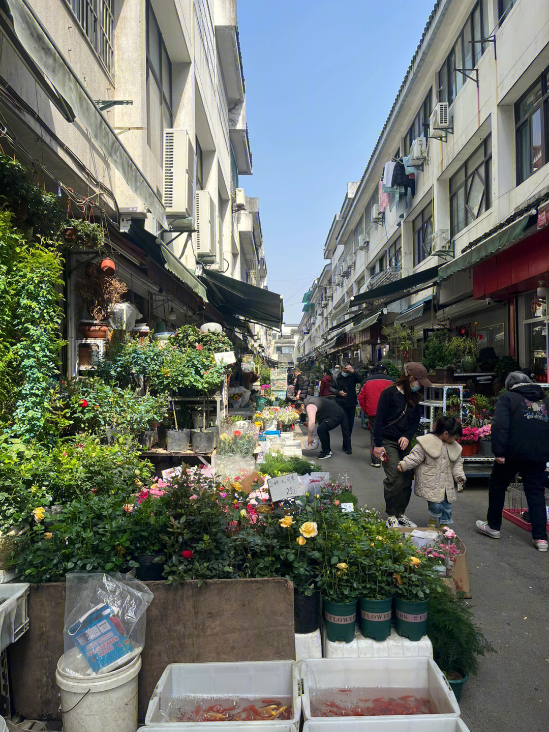 没事就来逛逛花鸟市场吧