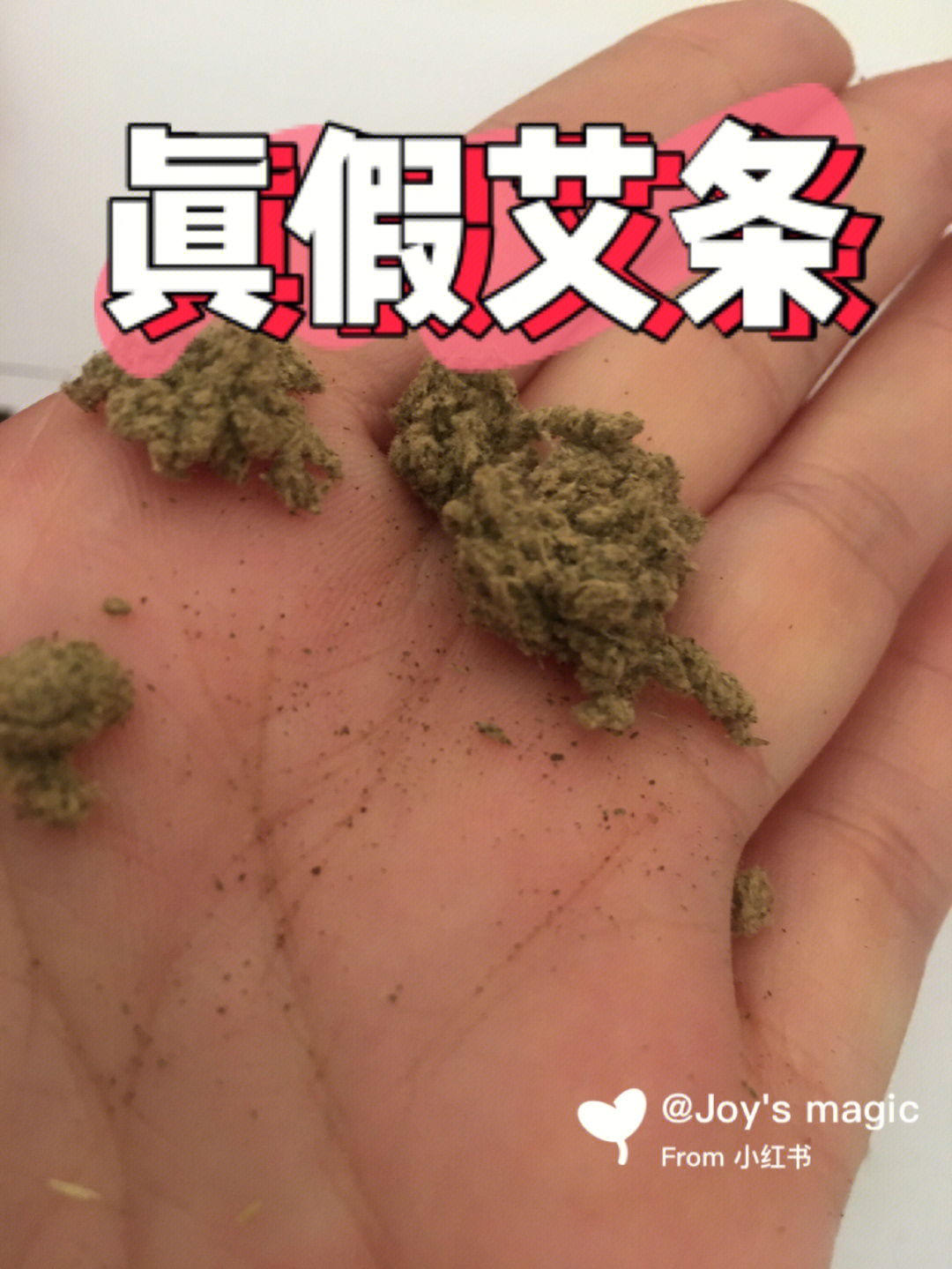 真假艾蒿图片图图片