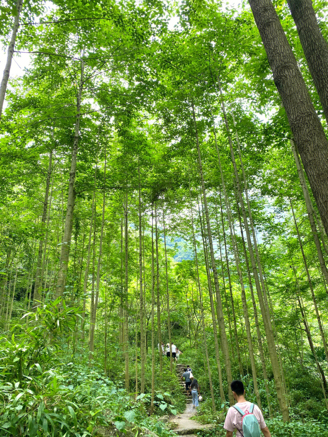 江油老君山好耍不图片