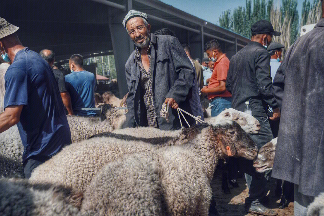喀什牛羊大巴扎图片