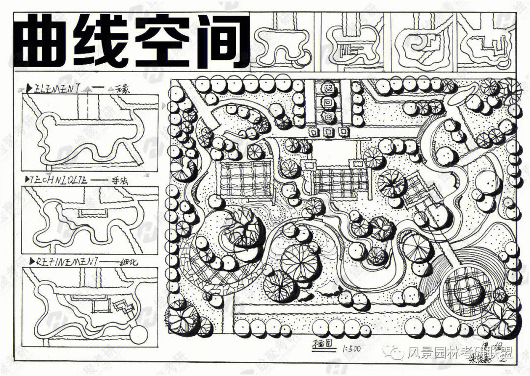 曲线构图手绘图片