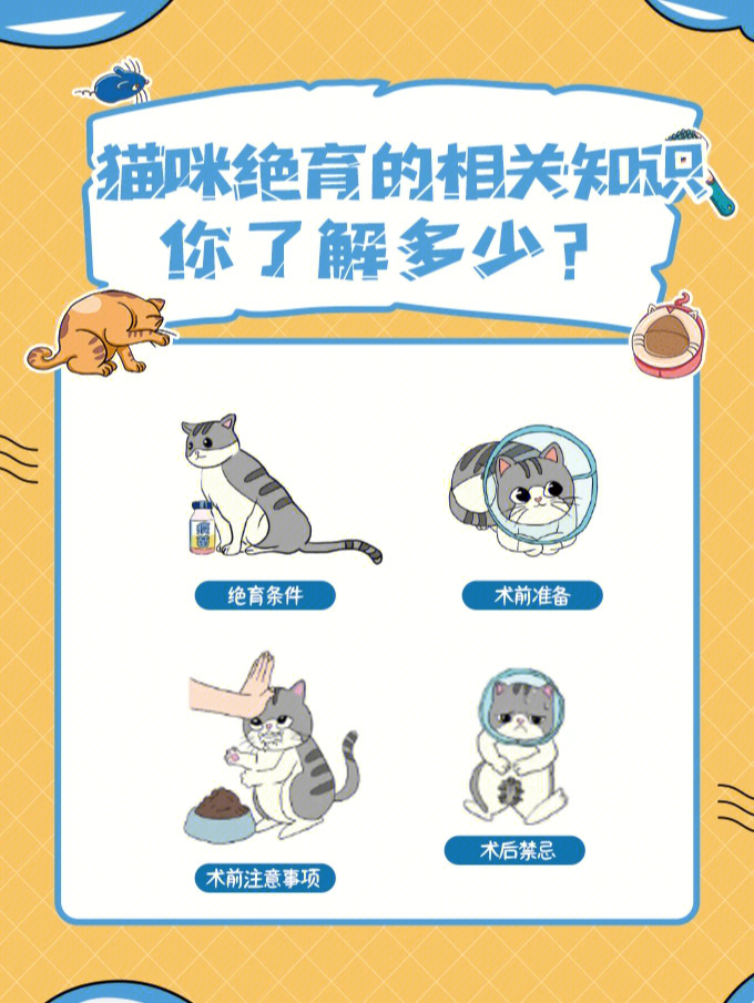 猫睾丸药用价值图片