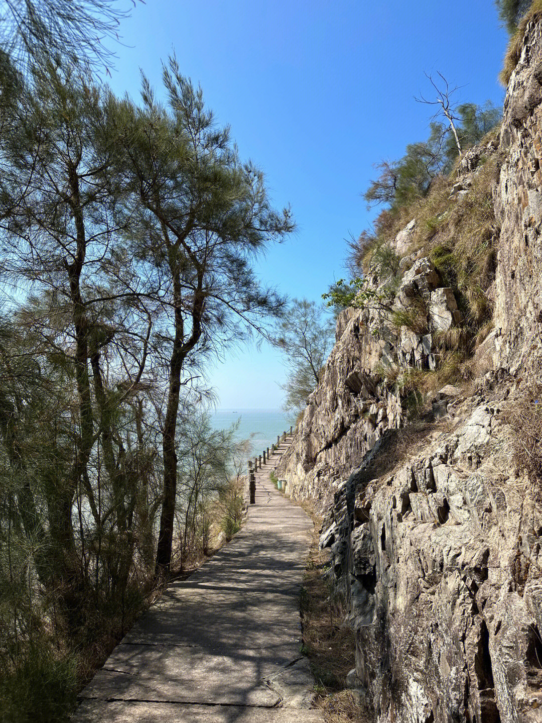 大鹿岛风景区景点介绍图片