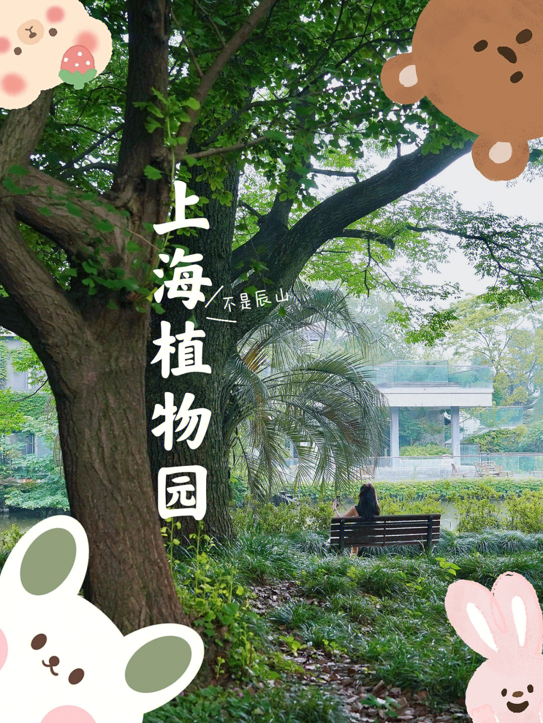 上海植物园不要门票的现实版绿野仙踪