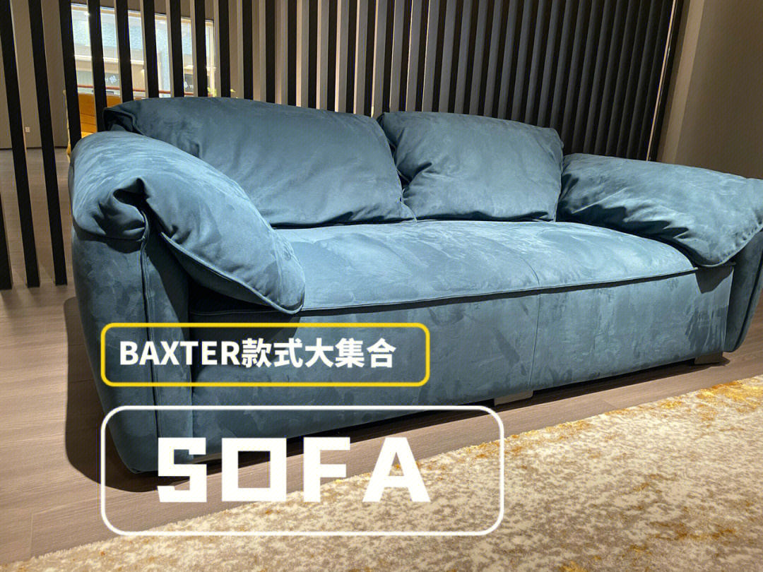 baxter中文图片