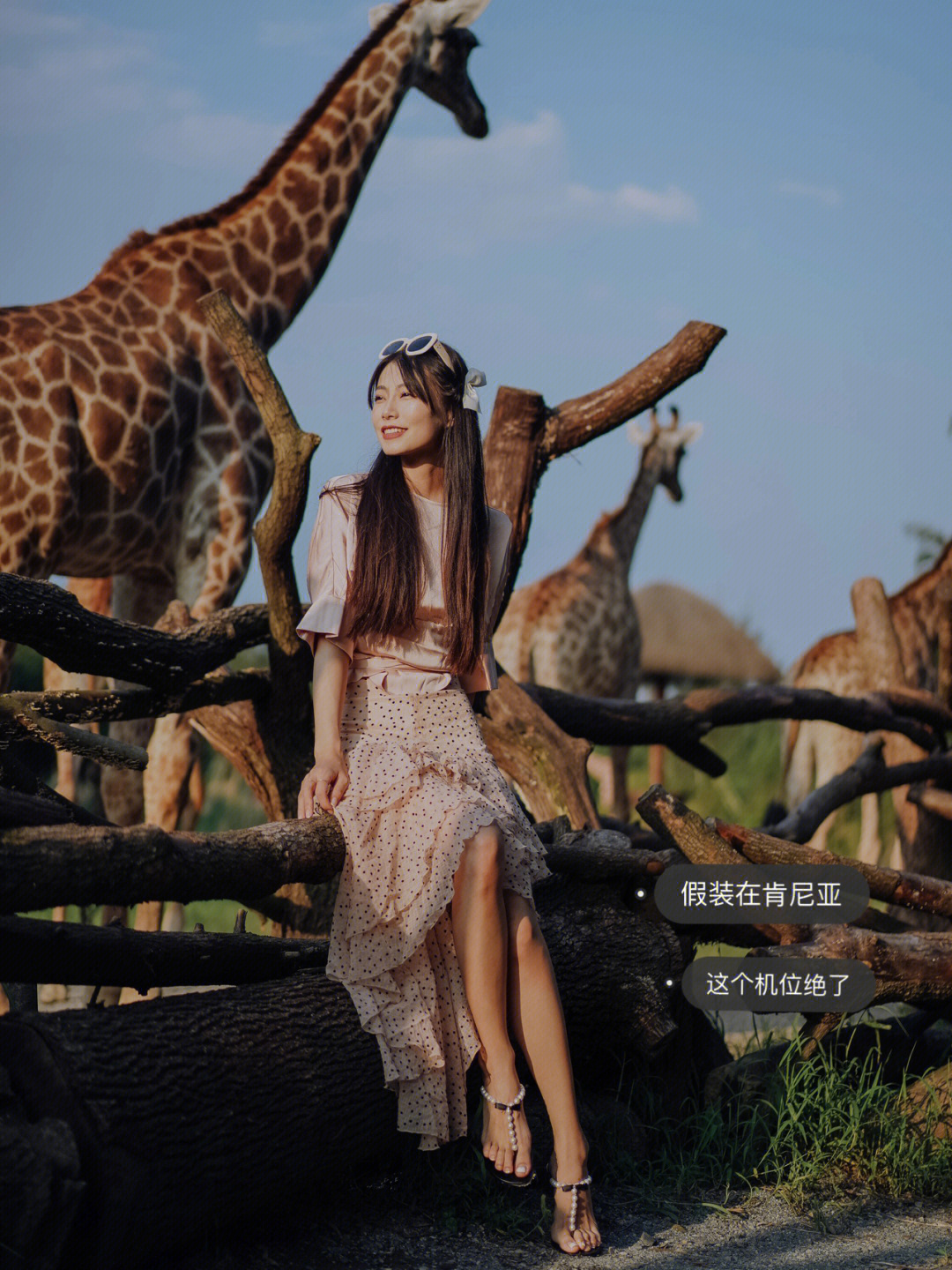 上海周边假装在肯尼亚长颈鹿庄园打卡攻略