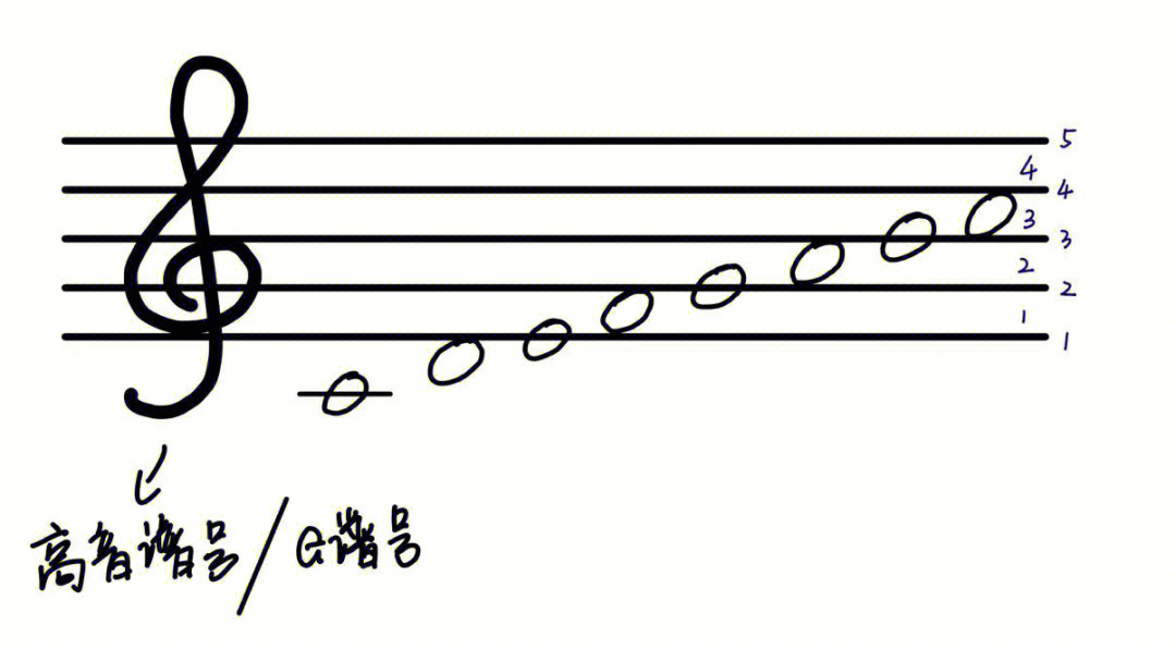 成人零基础带你认识五线谱里面的音符