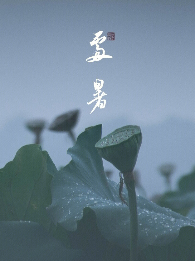 节气壁纸