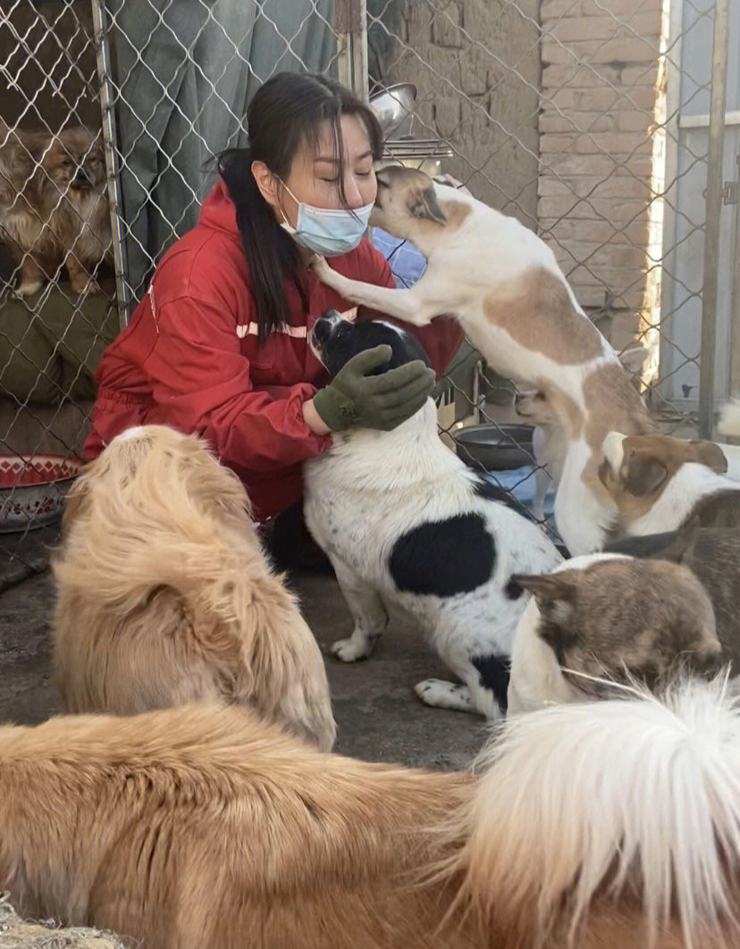 多只流浪猫,由于这些年越救越多,每天需要更多的时间跟精力照顾它们