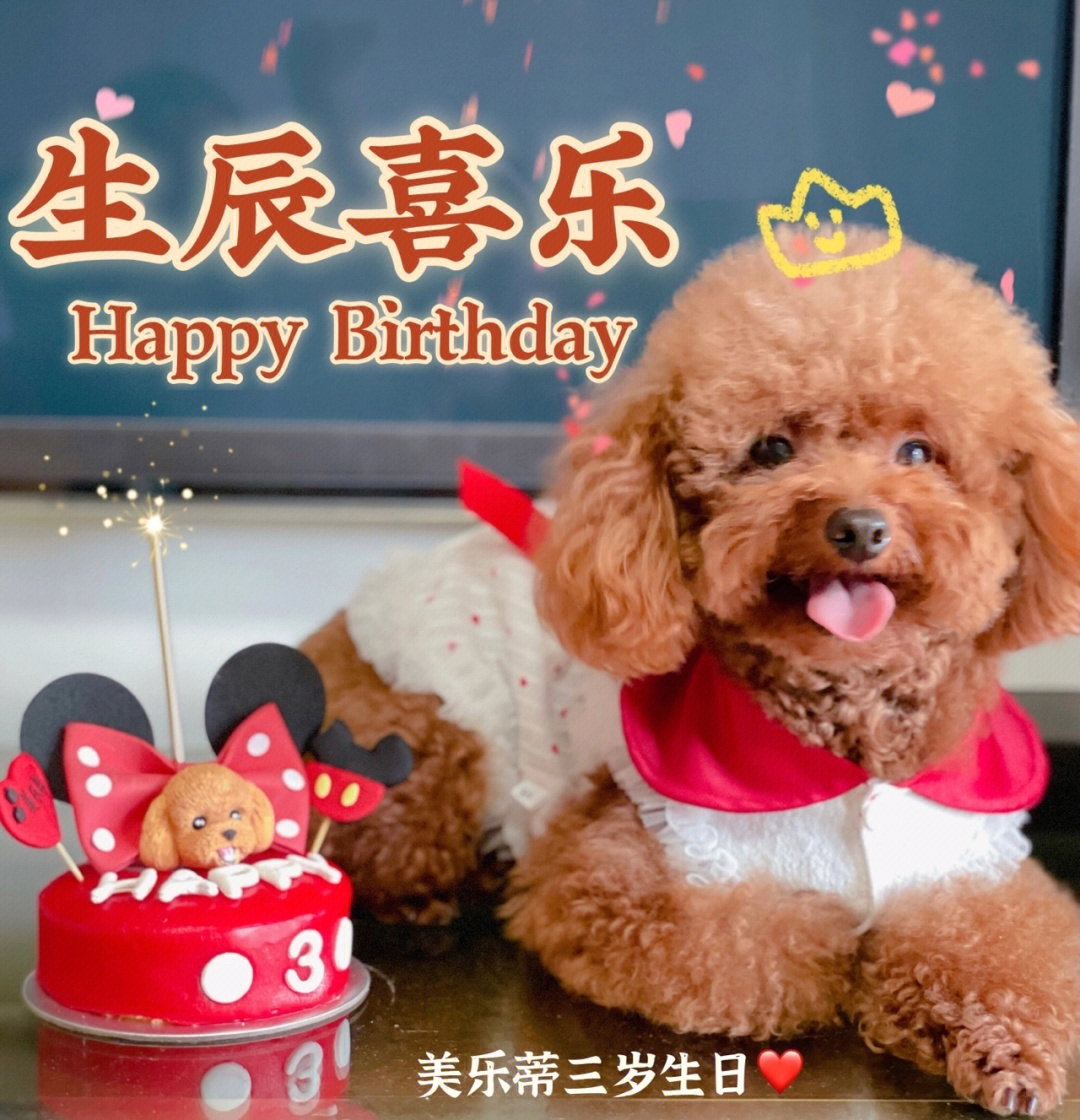 美乐蒂生日快乐表情包图片