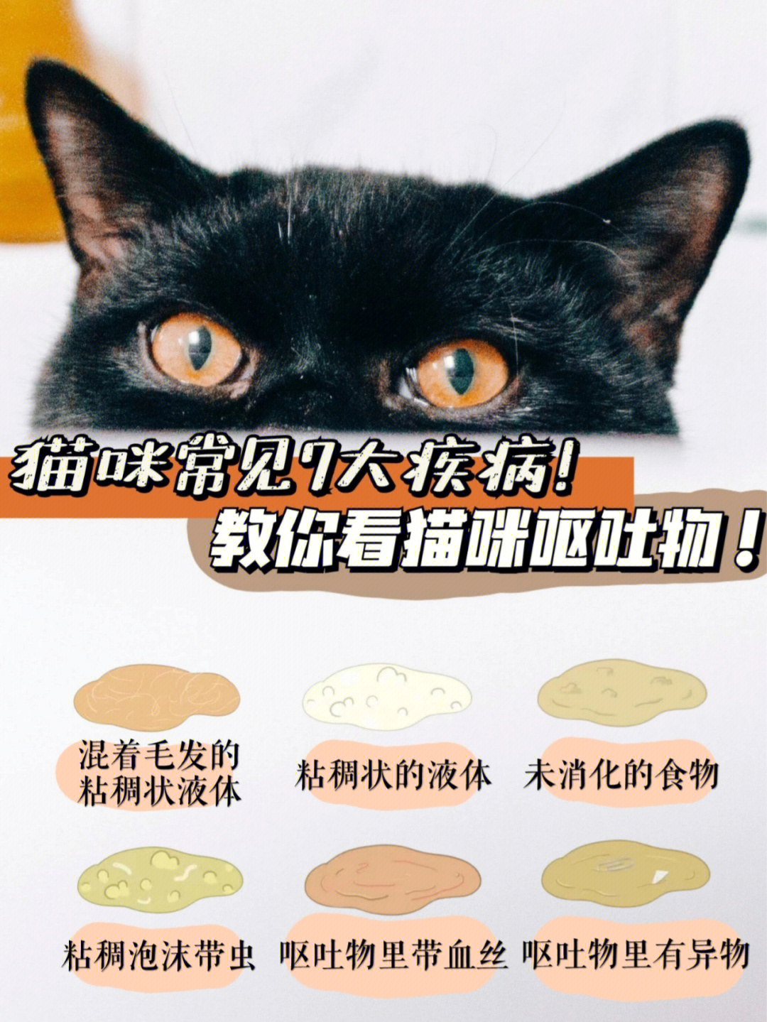 猫咪呕吐物图解糊状图片
