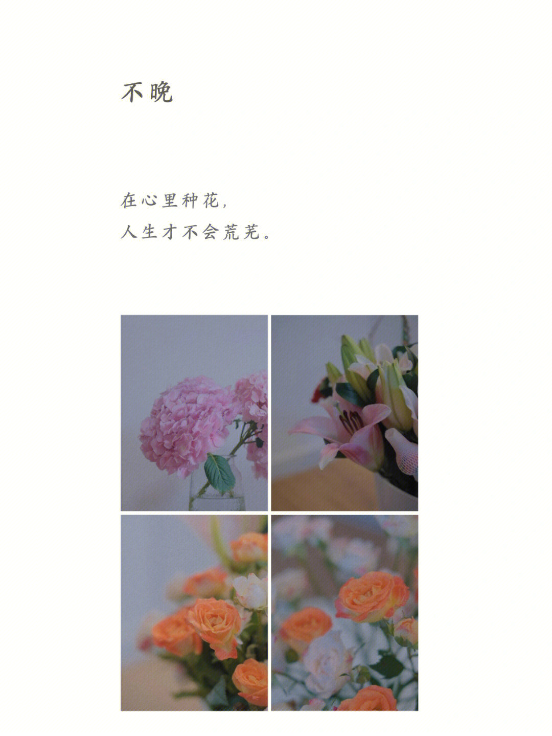 在心里种花人生才不会荒芜