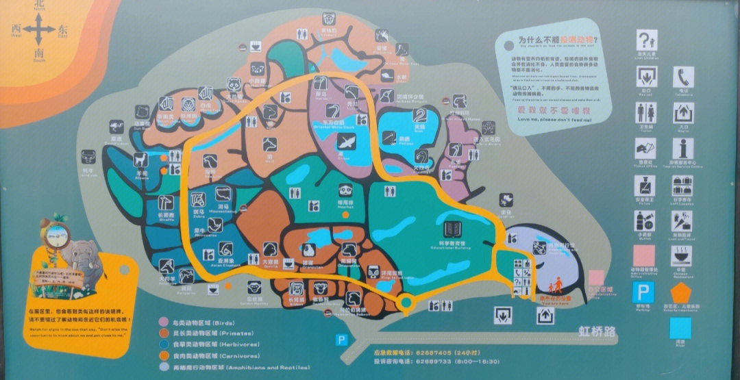 上海野生动物园导游图图片